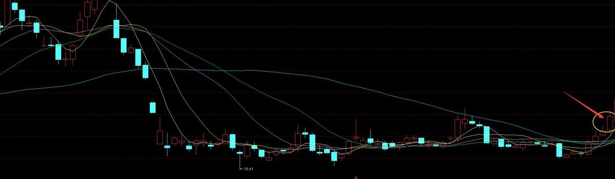 新股票最新行情深度解析與動態(tài)概覽